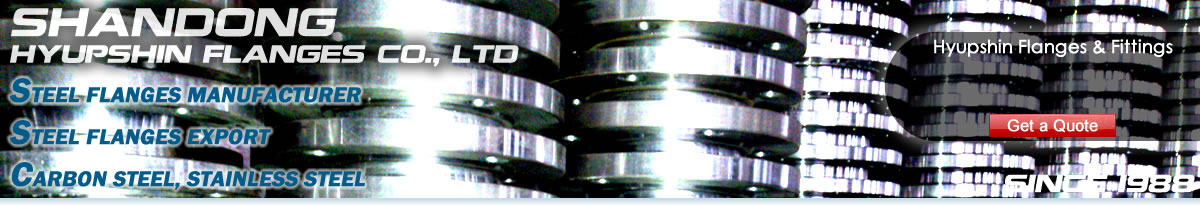 ansi b16.5 flange, ansi b16.47 flange, api605 flange, mss sp44 flange, industry standard flanges, bs10 table d flange, bs10 table e flange, bs4504 t6/3 flange, t10/3 flange, t16/3 flange, t25/3 flange, t40/3 flange, sabs1123 t600/3 flange, t1000/3 flange, t1600/3 flange, t2500/3 flange, t4000/3 flange, t600/8 flange, t1000/8 flange, t1600/8 flange, t2500/8 flange, t4000/8 flange, q235 flange, forged flange, forging flange, carbon steel flange, mild steel flange, faced flange, en1092-1 flange, type01b flange, type 02 flange, type 03 flange, type 05 flange, type 11 flange, type 13 flange, type 12 flange, en10204 3.1b certificate, tuv certificate, ped certificate,ce-ad2000 certificate, korean ks certificate, ks mark flanges, jis flanges, russian gost 12820 flange, gost 12821 flange, 150p flange, 300p flange, din2501 flange, din2502 flange, din2503 flange, din2543 flange, ksd4308 flange, korean jis flanges, chinese flanges exporter, chinese flanges supplier, chinese flanges factory, chinese flanges manufacturer, chinese flanges seller, zhangqiu flanges factory, zhangqiu flanges supplier, zhangqiu flanges exporter, italy uni flanges, spain flanges, germany din flanges, flansche, brides, brida, flansch, falan, chinese falan